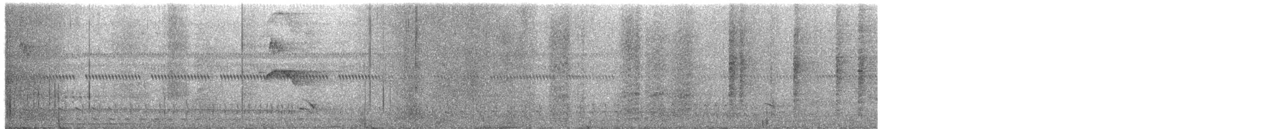 Batará Barrado - ML649959509