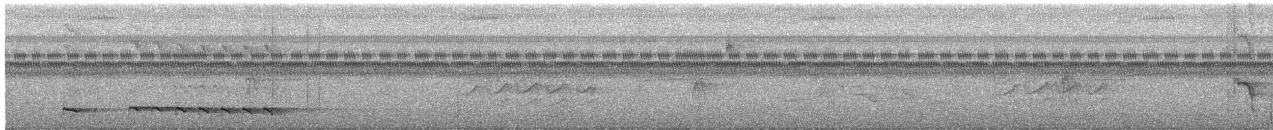 Formicario Mexicano - ML649960285