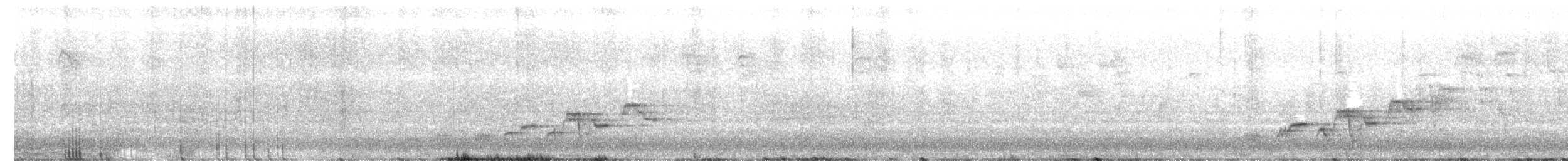 Swainson's Thrush - ML649964069