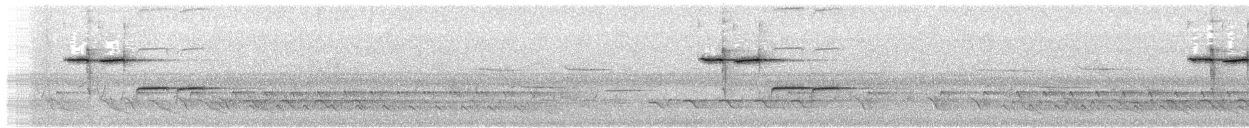 Carbonero de Carolina - ML649968502