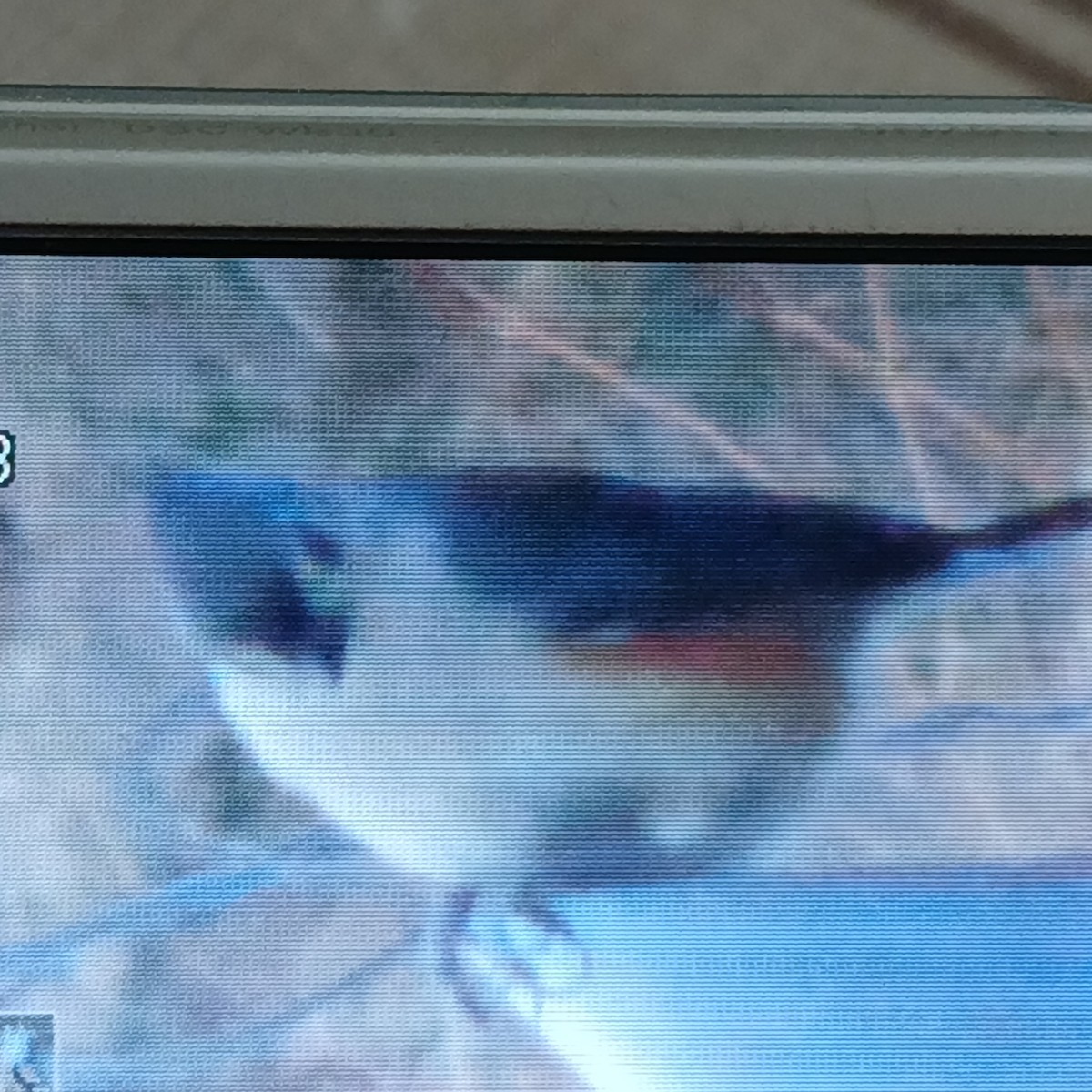Tufted Titmouse - ML649970860