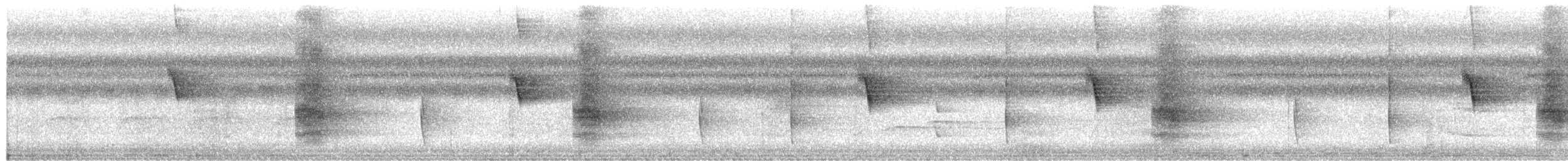 Hair-crested Drongo (White-eyed) - ML649972337