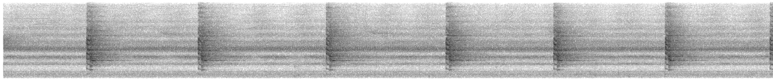 Hair-crested Drongo (White-eyed) - ML649972689