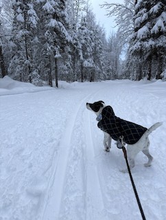 Campbell Tract--Campbell Creek Science Center, Anchorage Municipality ...