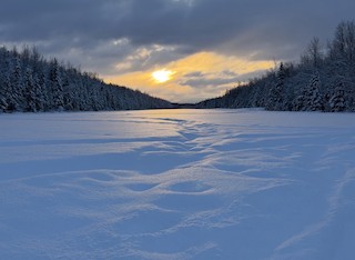 Campbell Tract--Campbell Creek Science Center, Anchorage Municipality ...