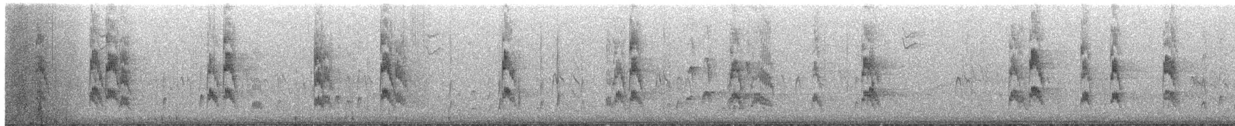 Red-cockaded Woodpecker - ML649973501