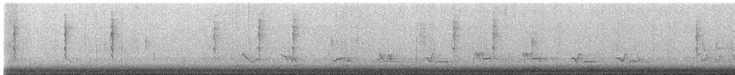 ウィルソンアメリカムシクイ - ML649974564