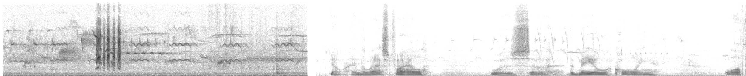 Cernícalo Americano - ML649975657