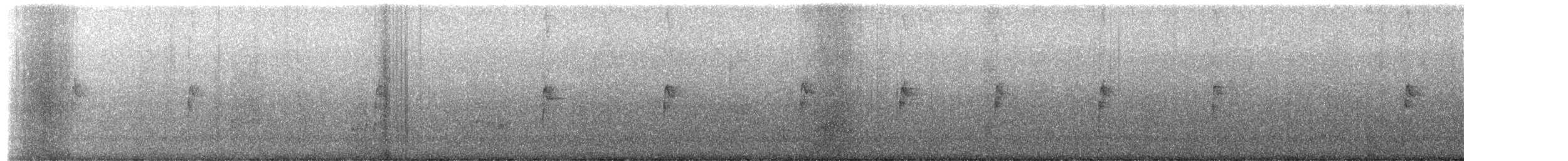 White-throated Sparrow - ML649977303