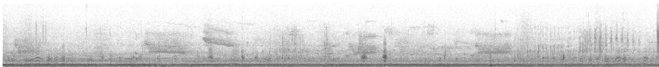 hohol bělavý - ML649977482