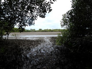 Queen Victoria Boat Ramp (Lota), Brisbane, Queensland, Australia ...