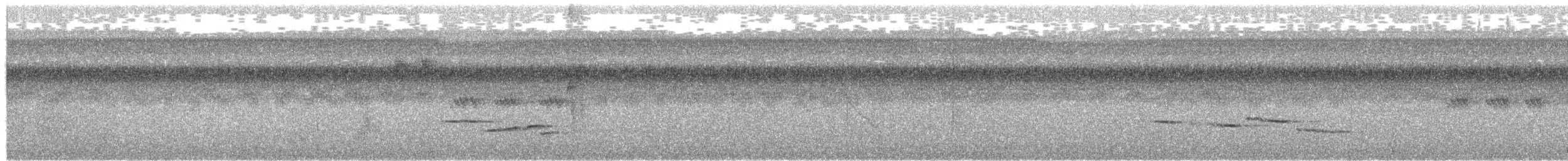 Sulawesi Blue Flycatcher - ML649990518