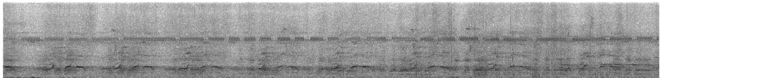 Chachalaca Norteña - ML649990563