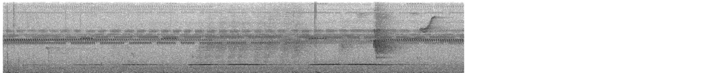 Tinamú Oliváceo - ML649991103