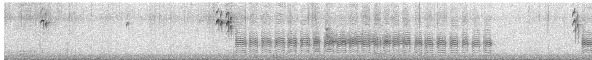 Black-capped Chickadee - ML649994886