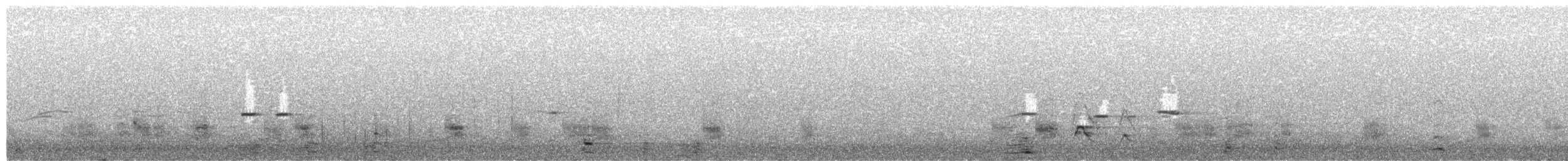 American Wigeon - ML649997523