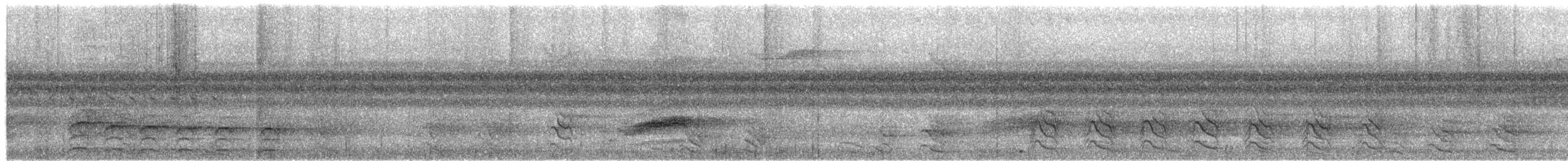 Spot-tailed Goshawk - ML649997776