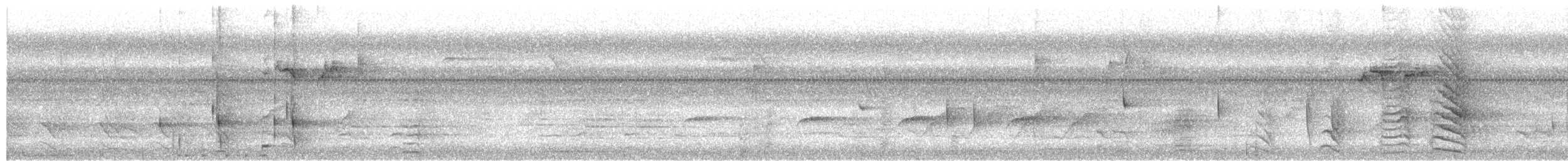 Hair-crested Drongo (White-eyed) - ML649997858