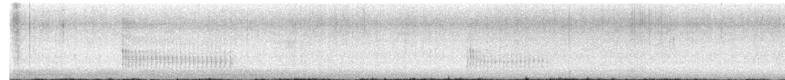 Belted Kingfisher - ML650000921