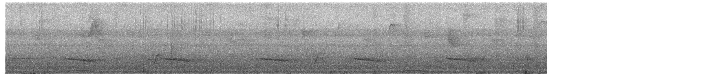 Swainson's Thrush (Olive-backed) - ML650012678