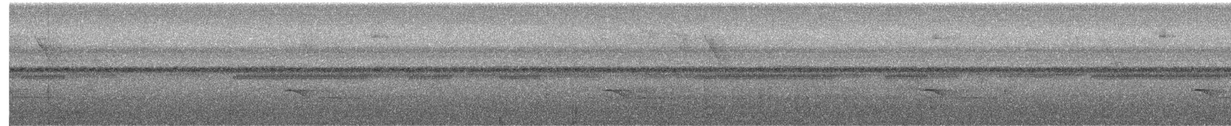 passerine sp. - ML650013017