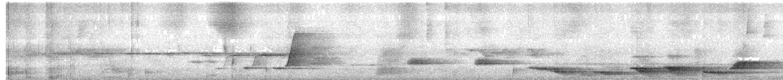 Braunrücken-Leierschwanz - ML650017767