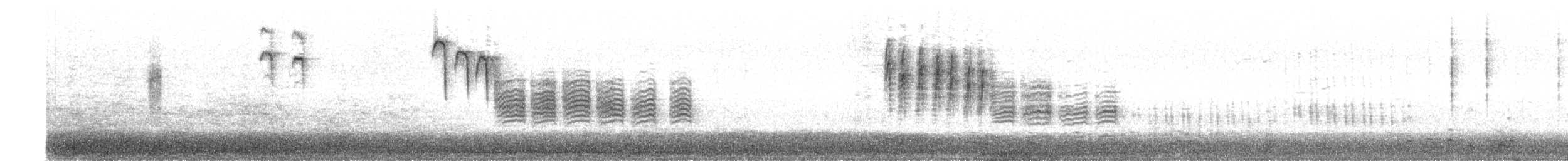 amerikameis - ML650021700