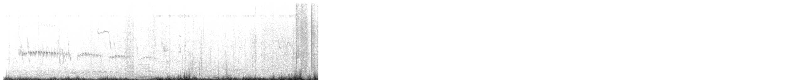 Horussegler - ML650026081