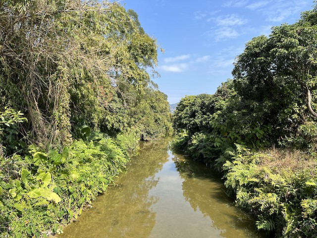 朱村农田 (Zhucun Farmland), Guangdong, China - eBird Hotspot