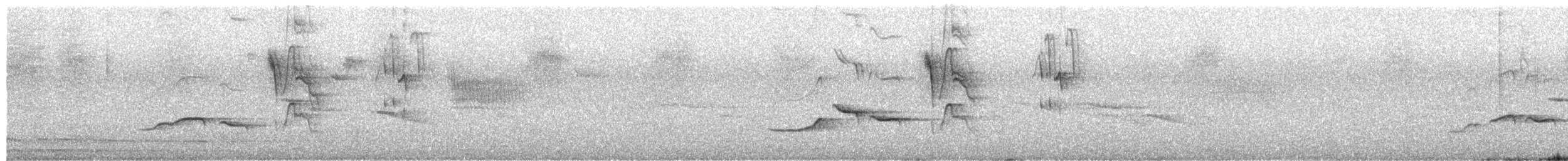 Chiguanco Thrush - ML650047902