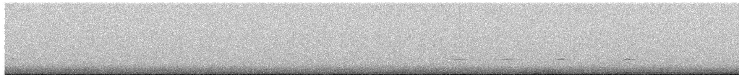 Чирянка мала - ML650058380