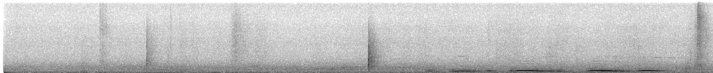 Hontz virginiarra - ML650062767