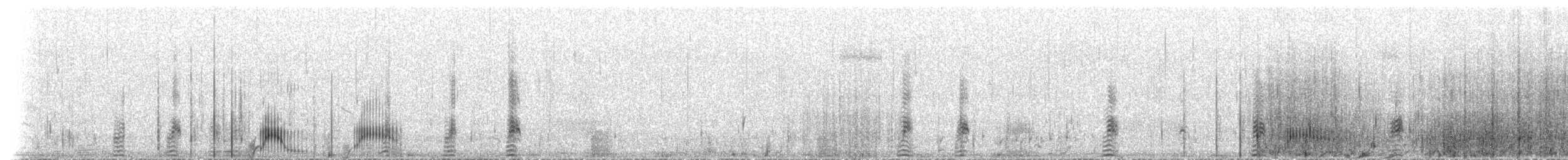 Andean Duck - ML650064919