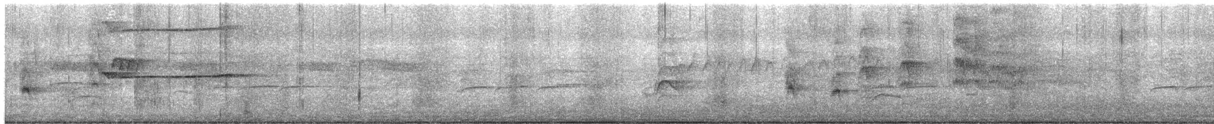 Busardo Aliancho - ML650065393