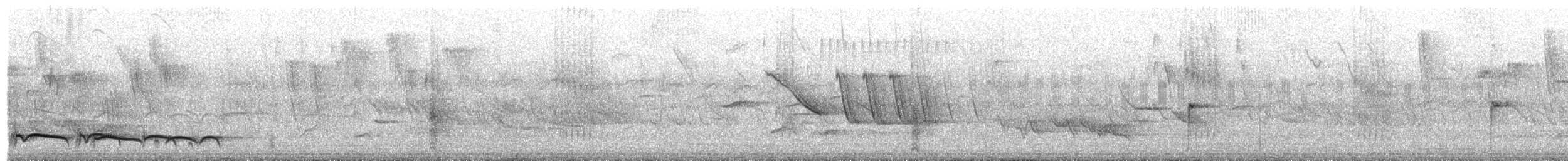 Spot-backed Puffbird - ML650065894