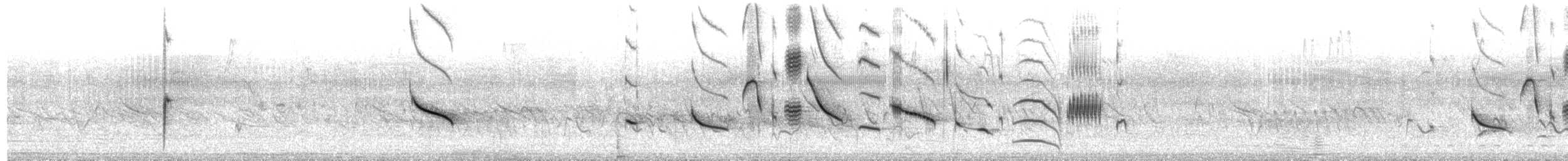 Grayish Baywing - ML650066142