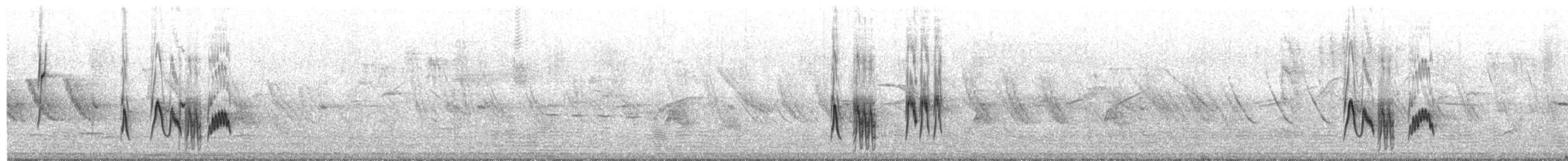 Small-billed Elaenia - ML650069858