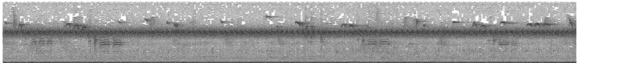 Carbonero de Carolina - ML650071987