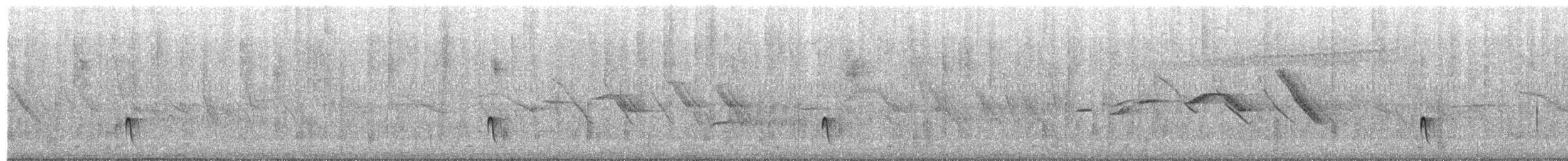 Small-billed Elaenia - ML650073364