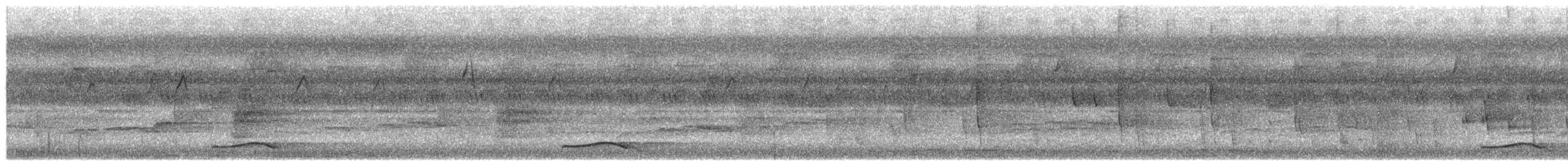 Black-billed Koel - ML650073390