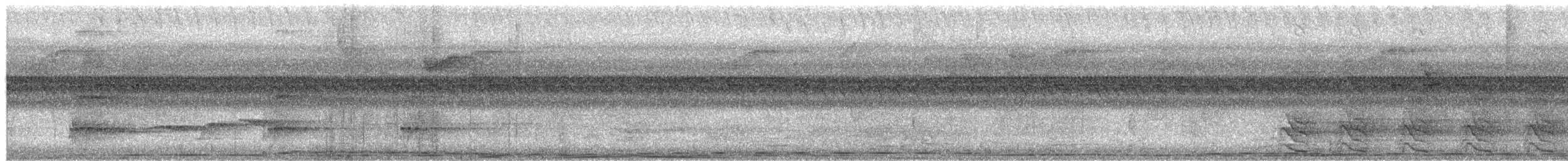 Silver-tipped Imperial-Pigeon - ML650073502