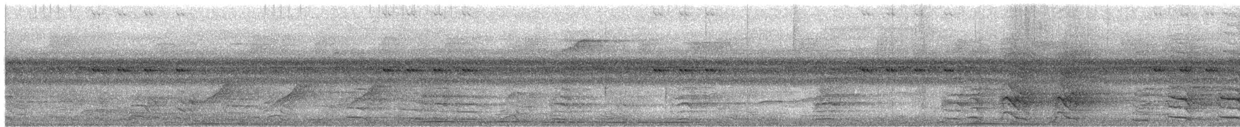 Silver-tipped Imperial-Pigeon - ML650073833