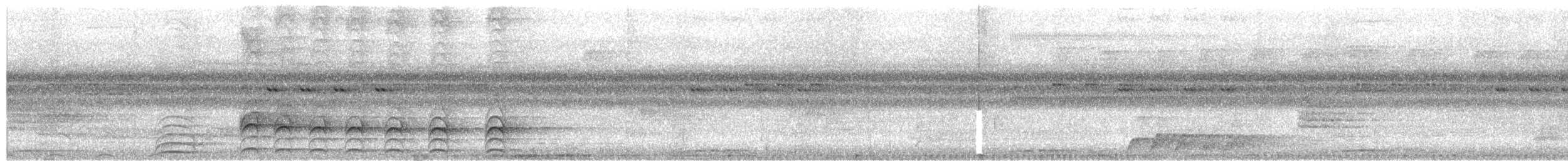 Spot-tailed Goshawk - ML650073871