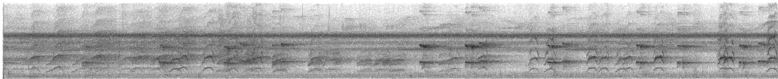 Golden-mantled Racquet-tail - ML650073992