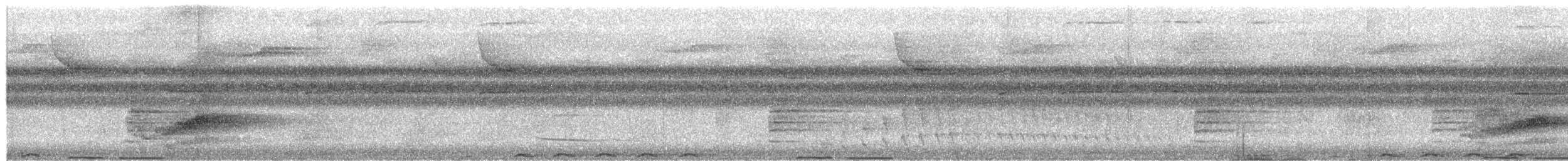 Black-naped Oriole (Sulawesi) - ML650074039