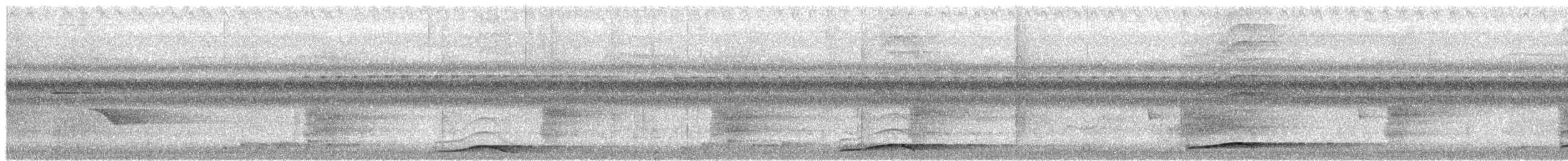 Black-billed Koel - ML650074462