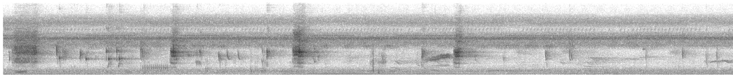 Hair-crested Drongo (White-eyed) - ML650074697