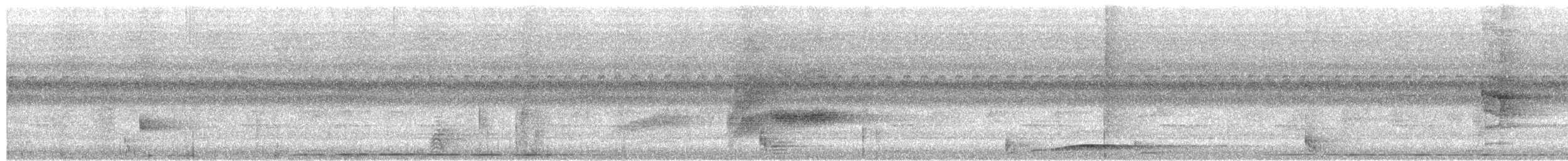 White-necked Myna (Northern) - ML650074786