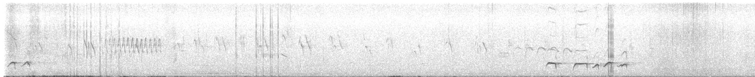 Boyaca Antpitta - ML650076995