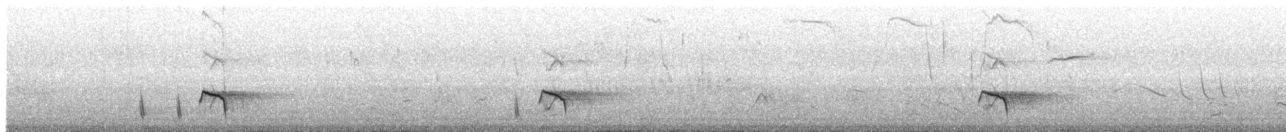 Chiguanco Thrush - ML650080749